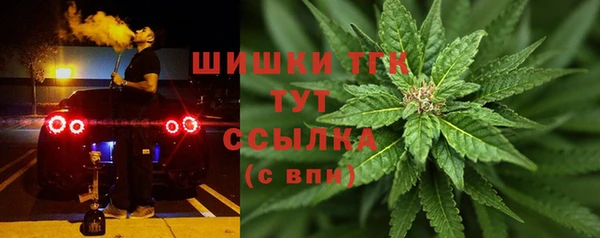 spice Краснослободск