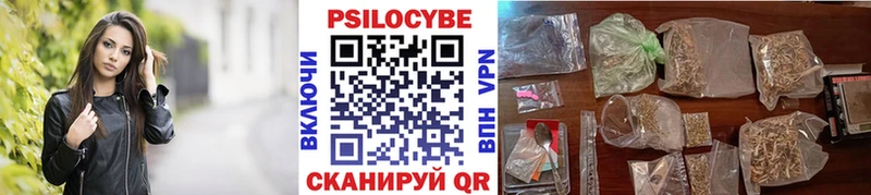 Галлюциногенные грибы MAGIC MUSHROOMS  Купить закладки  Вязники 